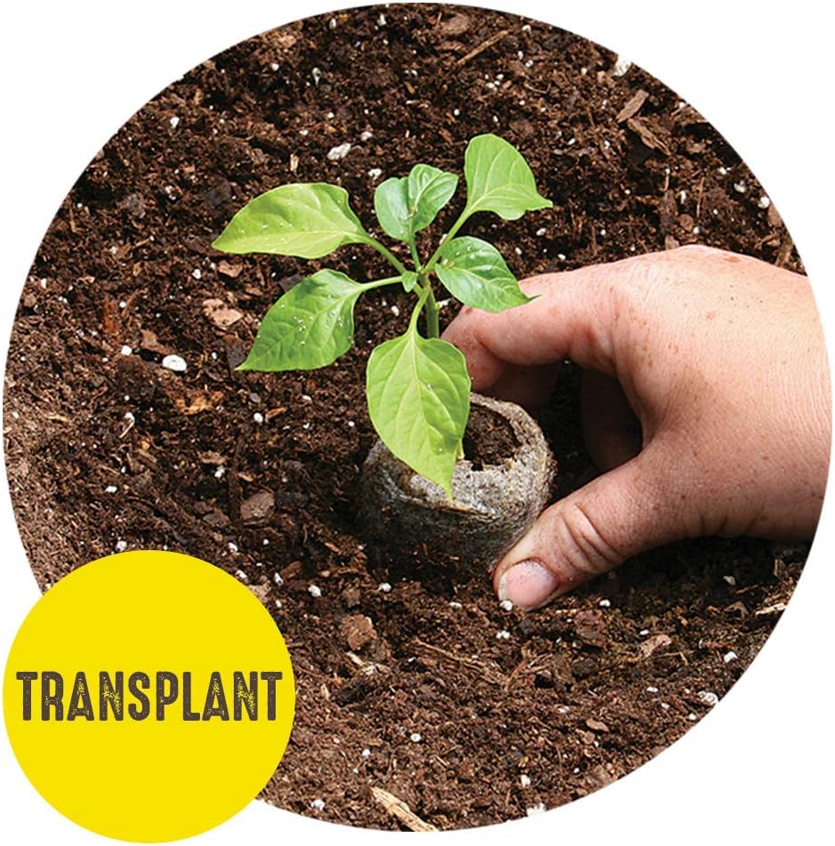 42mm Seed Starting Greenhouse Kit with 25 Biodegradable Expanding Peat Pellets Y4869