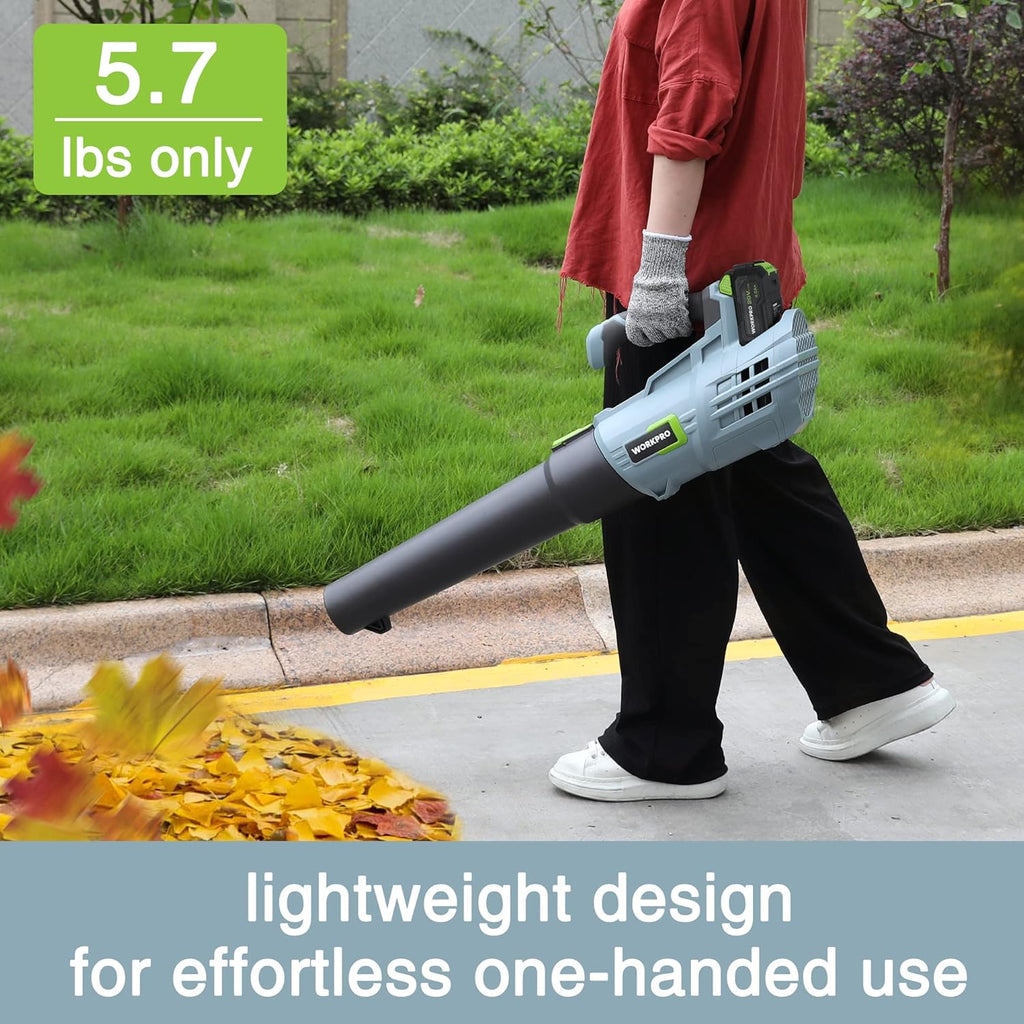 20V Cordless Leaf Blower with 5 Adjustable Speeds, 350 CFM, 4.0Ah Battery and Charger I69052