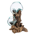 Blue Tinted Bubble Glass On Natural Teak Driftwood Terrarium L227