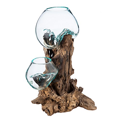 Blue Tinted Bubble Glass On Natural Teak Driftwood Terrarium L227