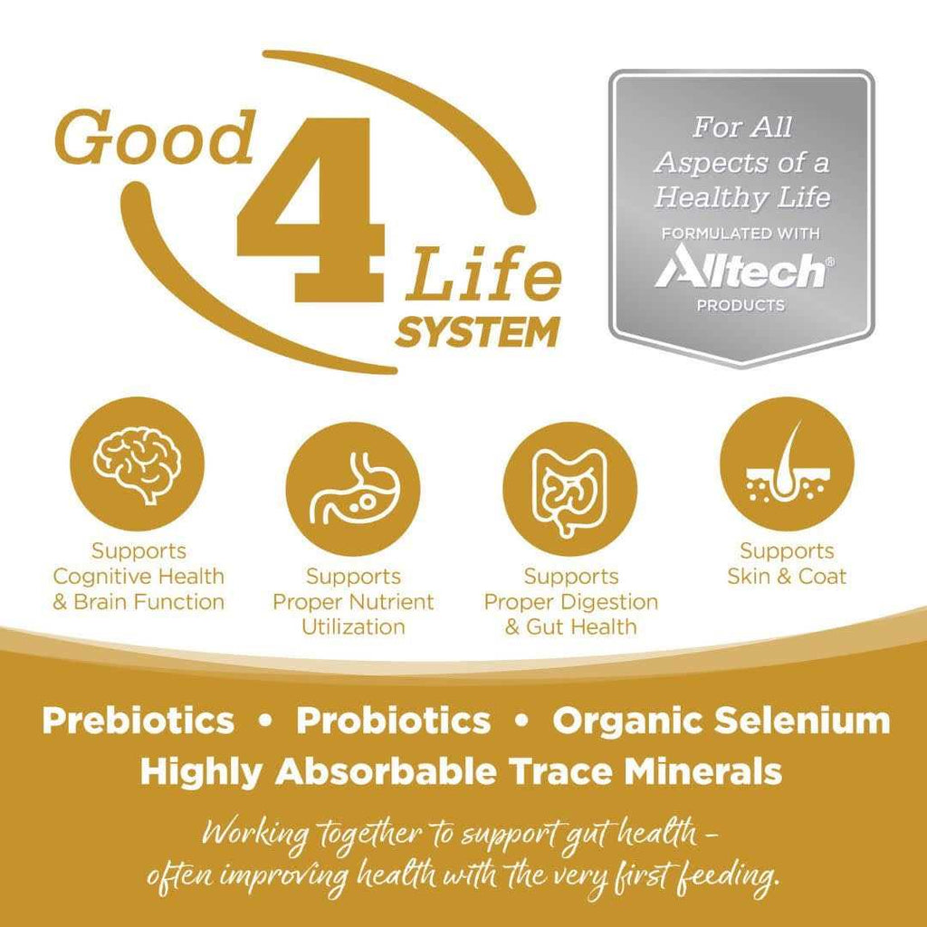 Small Bites Grain Free Dog Food Q366633
