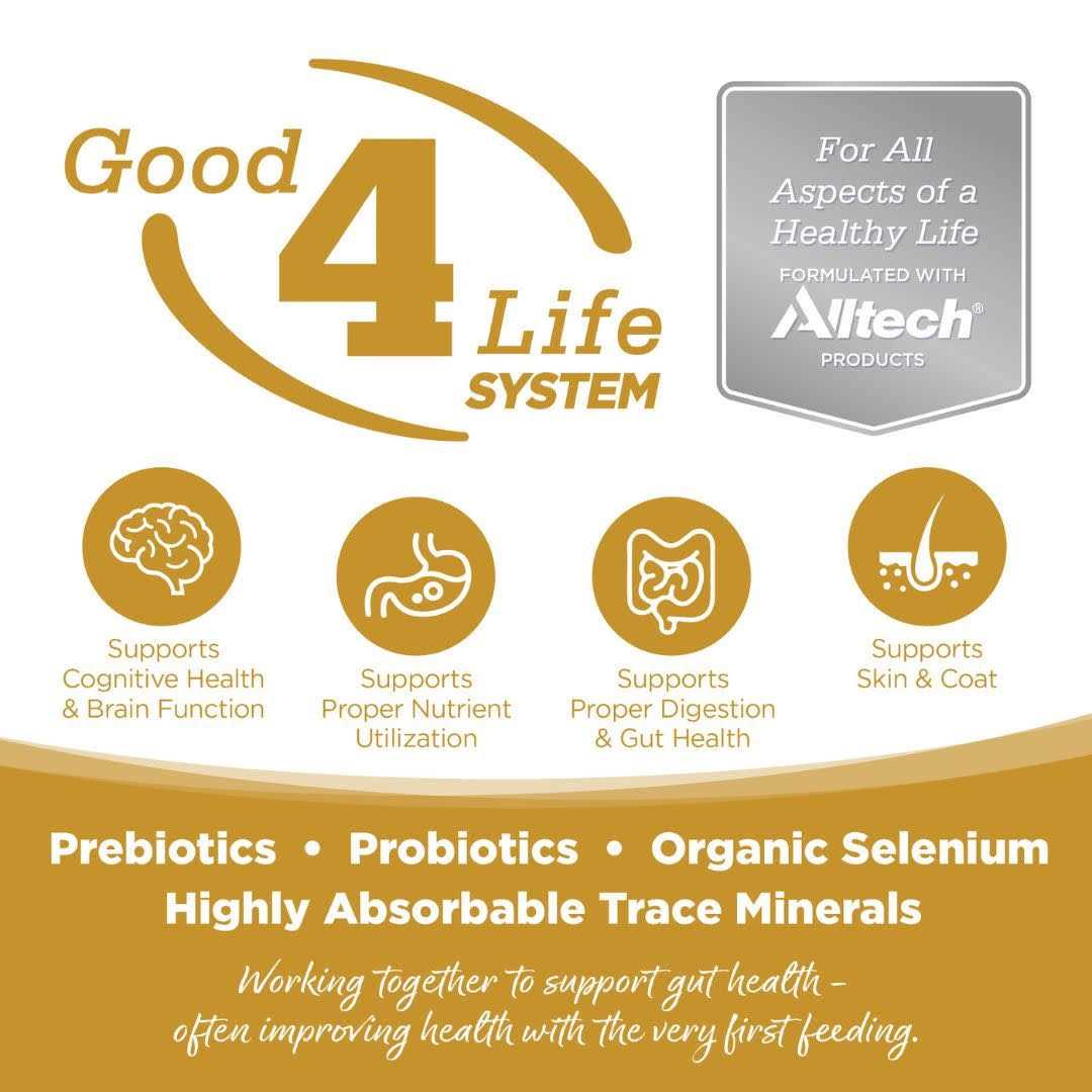Small Bites Grain Free Dog Food Q366633