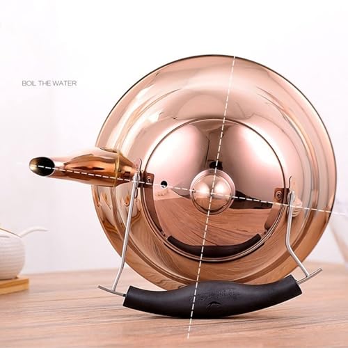 Stainless Steel Whistling Tea Kettle I72816