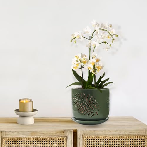 2 Pack 6+5 inch Ceramic Orchid Pots with Holes W5034