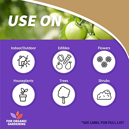 32 oz Ready-to-Use Neem Oil Fungicide Insecticide Miticide W2323