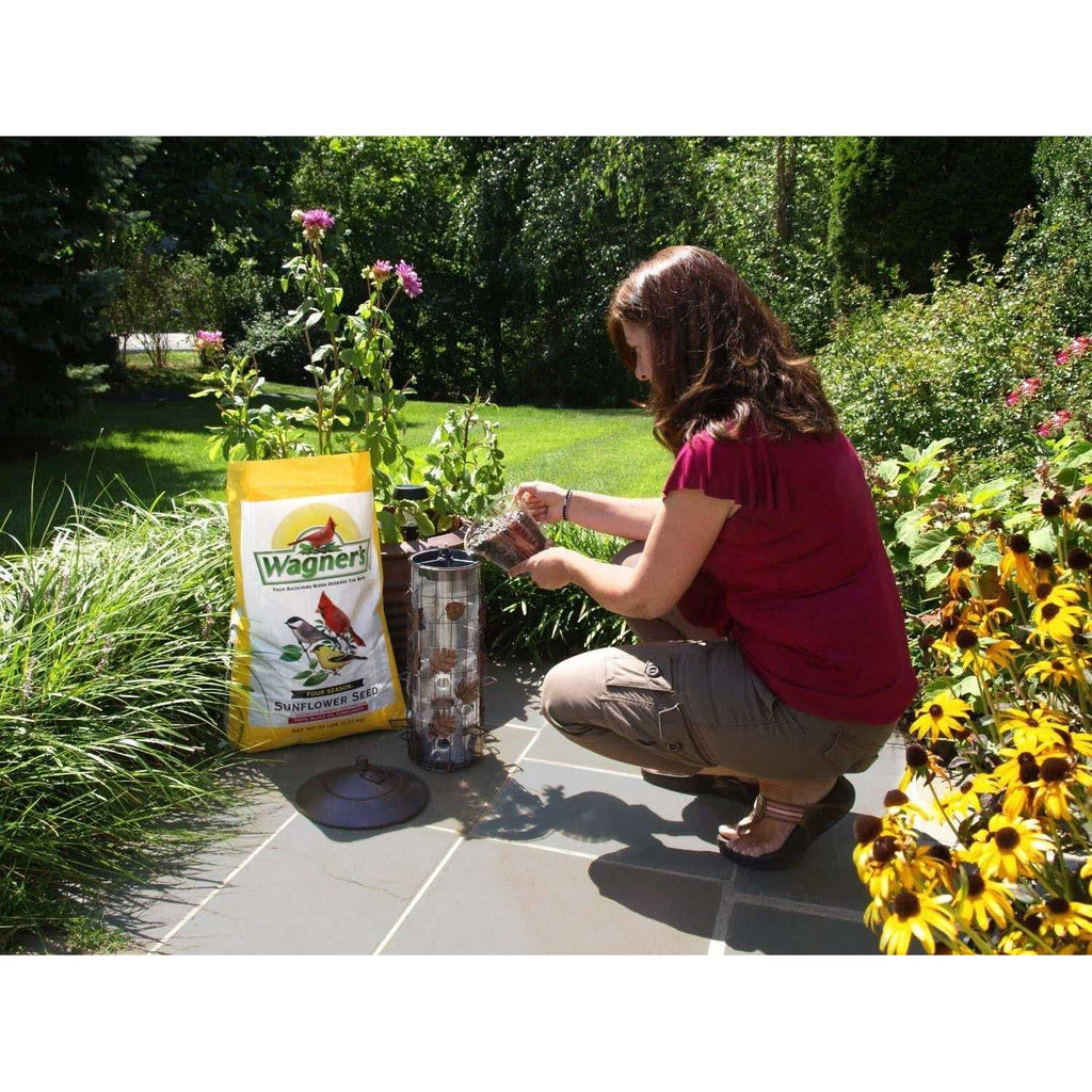 Black Oil Sunflower Seed S8103