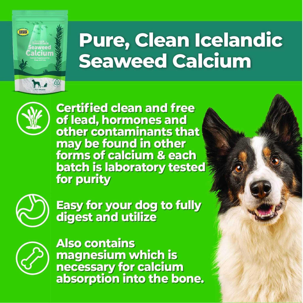 Seaweed Calcium for Dogs and Cats F580412