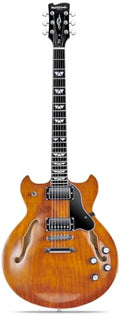 Semi Hollow Body Electric Guitar with 6 String U68664
