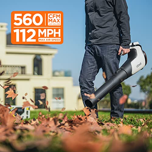 2x20V 560CFM Brushless Leaf Blower with 4.0Ah Battery D56919