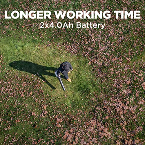 2x20V 560CFM Brushless Leaf Blower with 4.0Ah Battery D56919