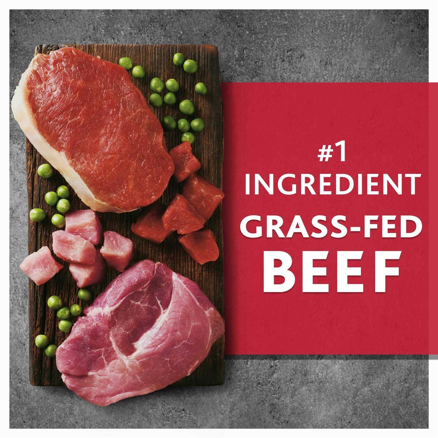 Beef & Wild Boar Recipe Dry Dog Food F40122