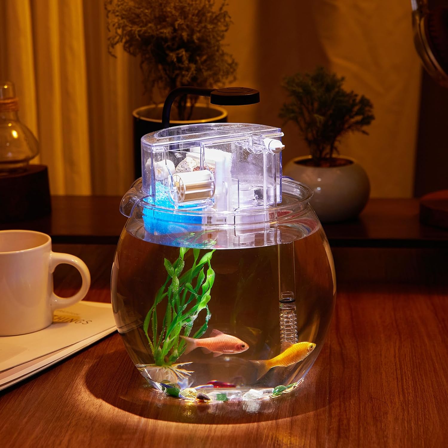 1 Gallon Clear Plastic Round Fish Tank with Filter and Light P992