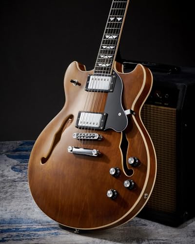 Semi Hollow Body Electric Guitar with 6 String U68664