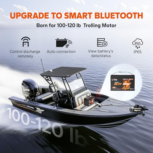 36V 50Ah LiFePO4 Battery with Bluetooth Low-Temp Protection 50A BMS Deep Cycle Group31 Lithium Iron Phosphate Battery E241527
