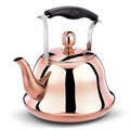 Stainless Steel Whistling Tea Kettle I72816