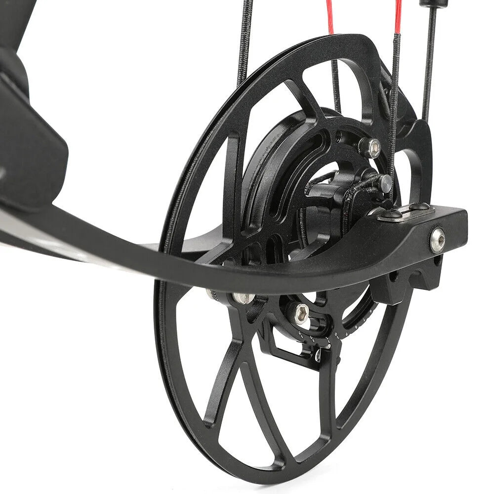 29 Inch Carbon Fiber Compound Bow 0-70lbs Adjustable 345FPS U823536