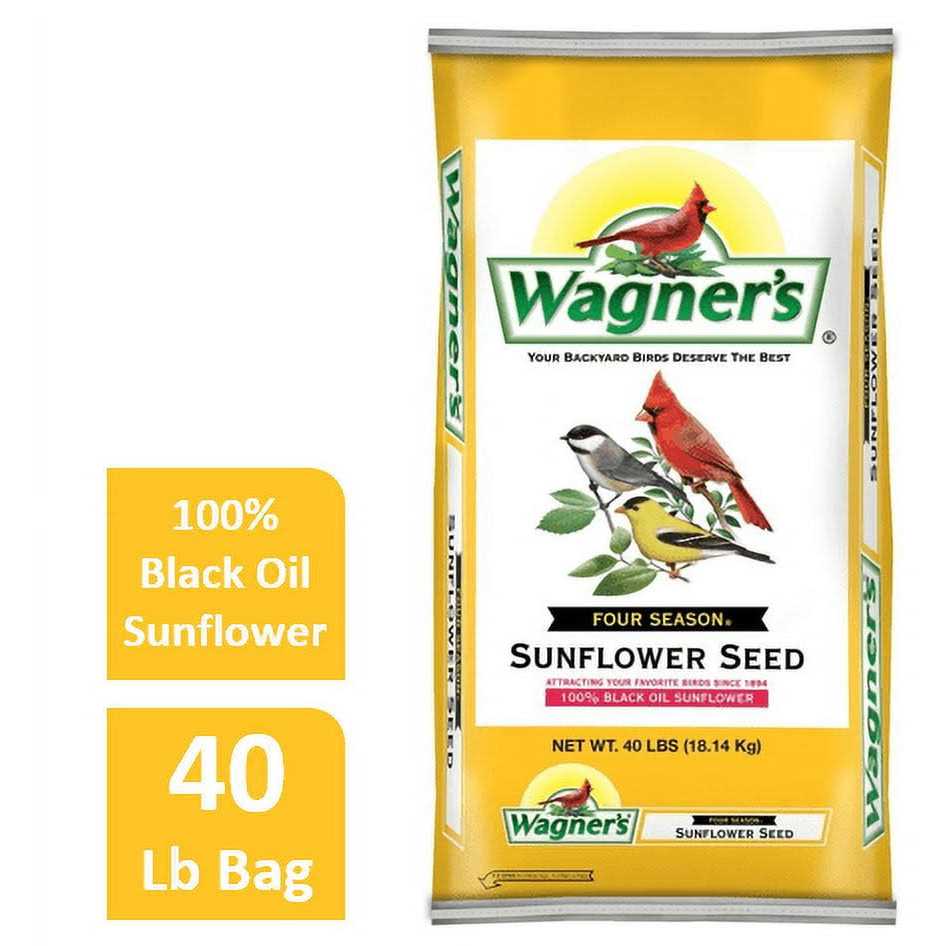 Black Oil Sunflower Seed S8103