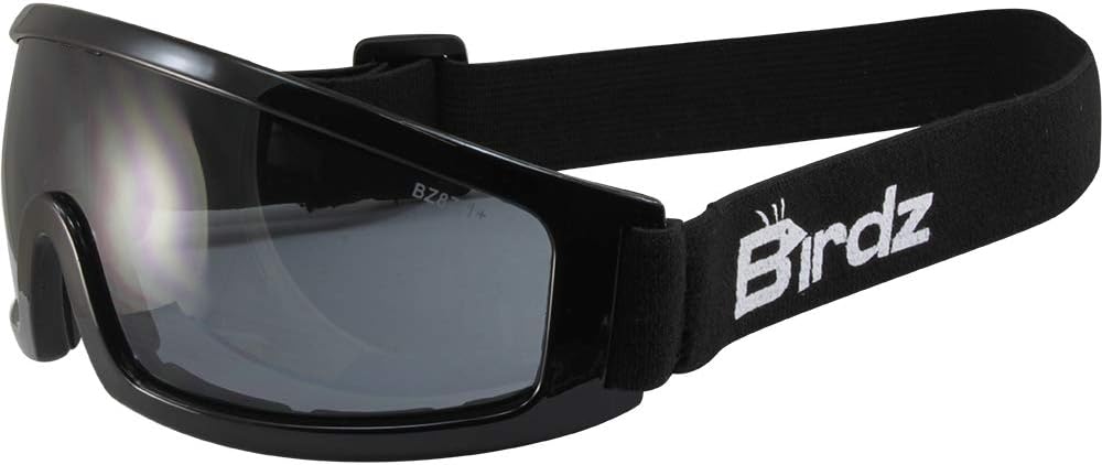 2 Pairs Safety Goggles Blue Mirror & Smoke Lenses P9099