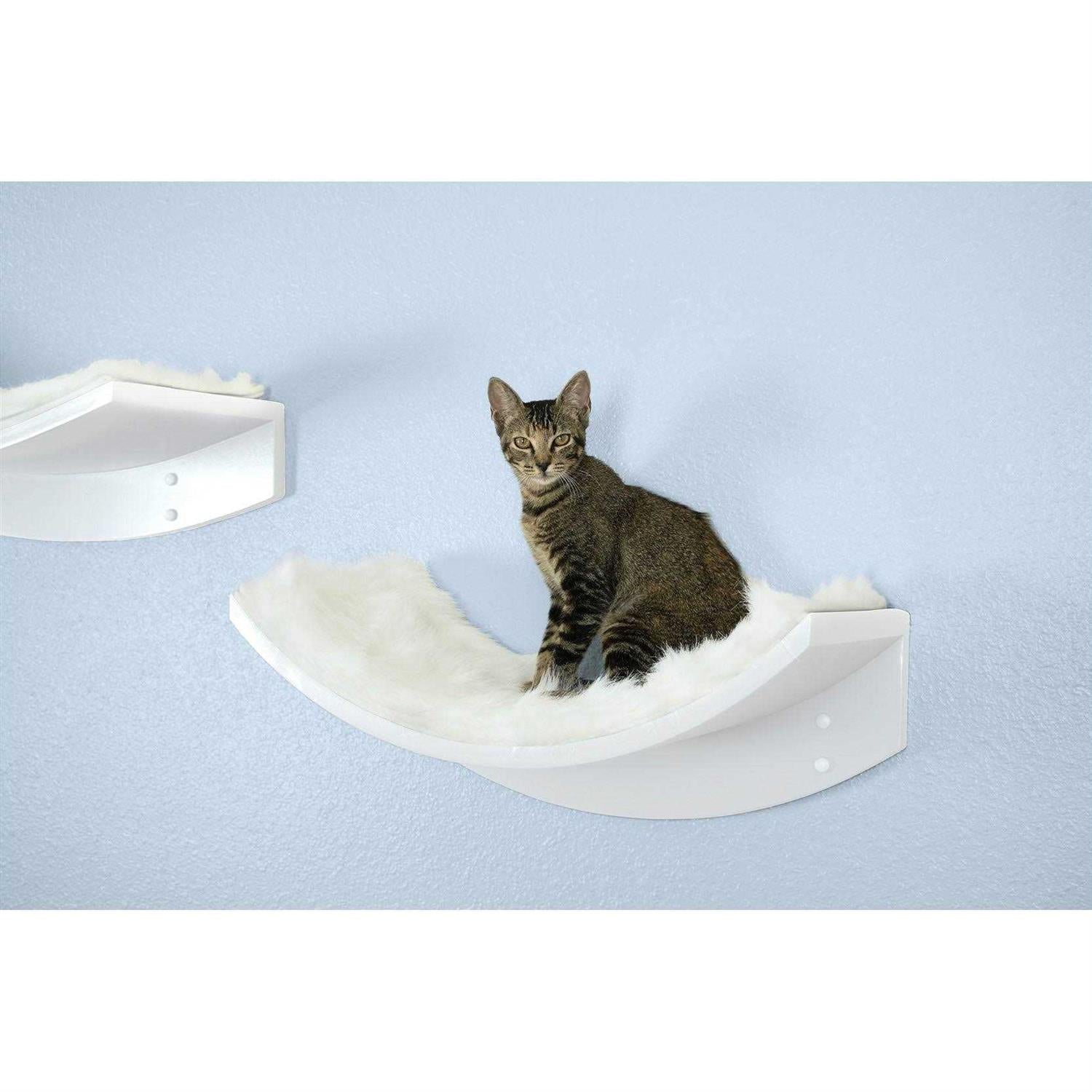 Cat Shelf V249
