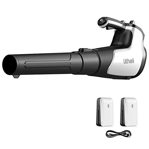 2x20V 560CFM Brushless Leaf Blower with 4.0Ah Battery D56919