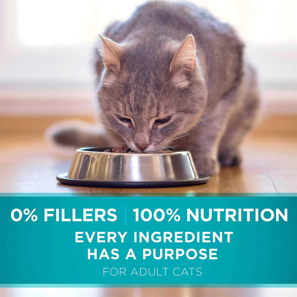 Dry Cat Food V3437