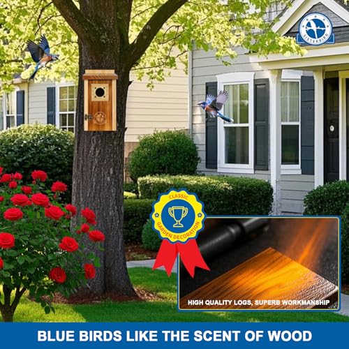 2 Pack Cedar Bird House with Copper Guard H7460