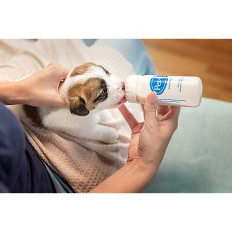 Puppy Milk Replacement Powder E307