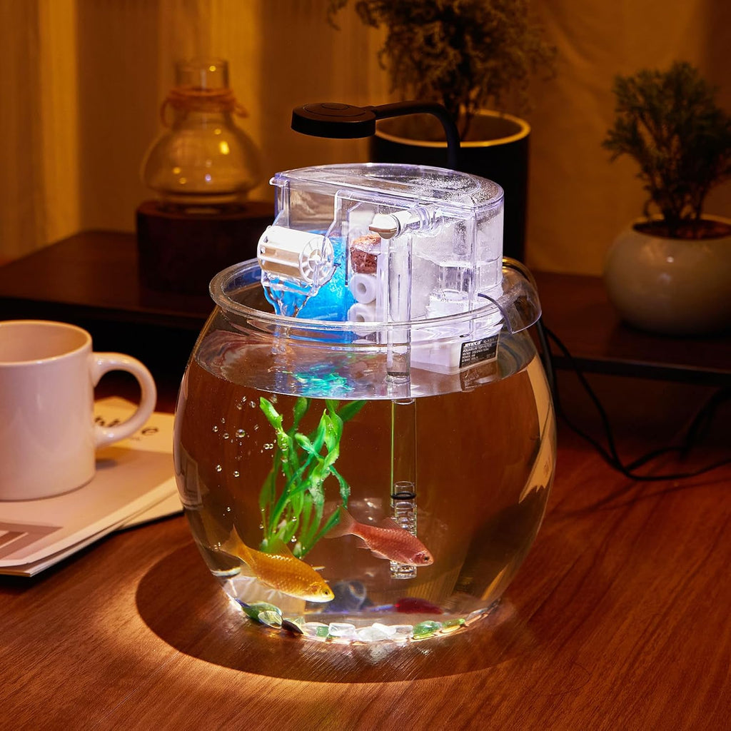 1 Gallon Clear Plastic Round Fish Tank with Filter and Light P992