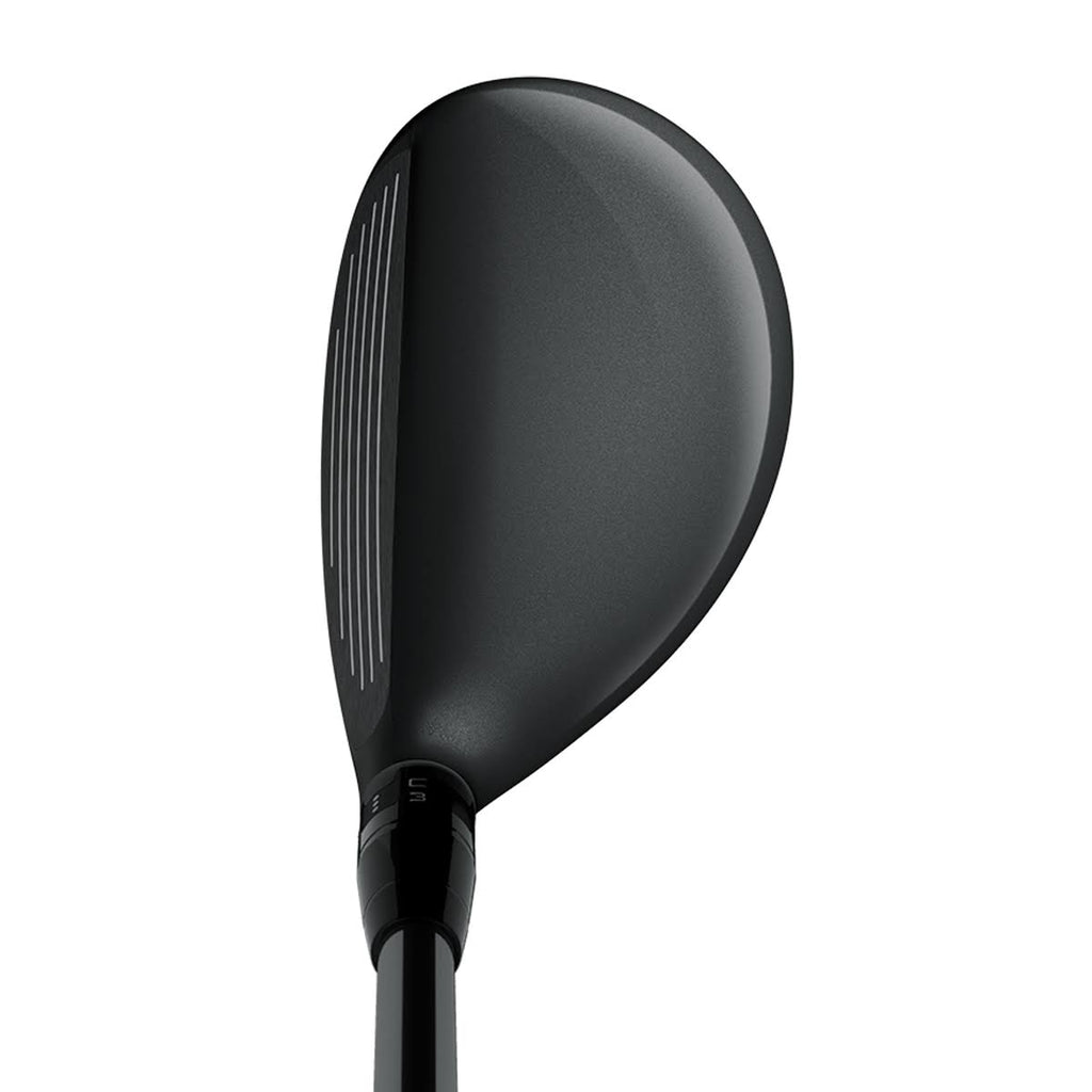 818 H1 Hybrid K6491