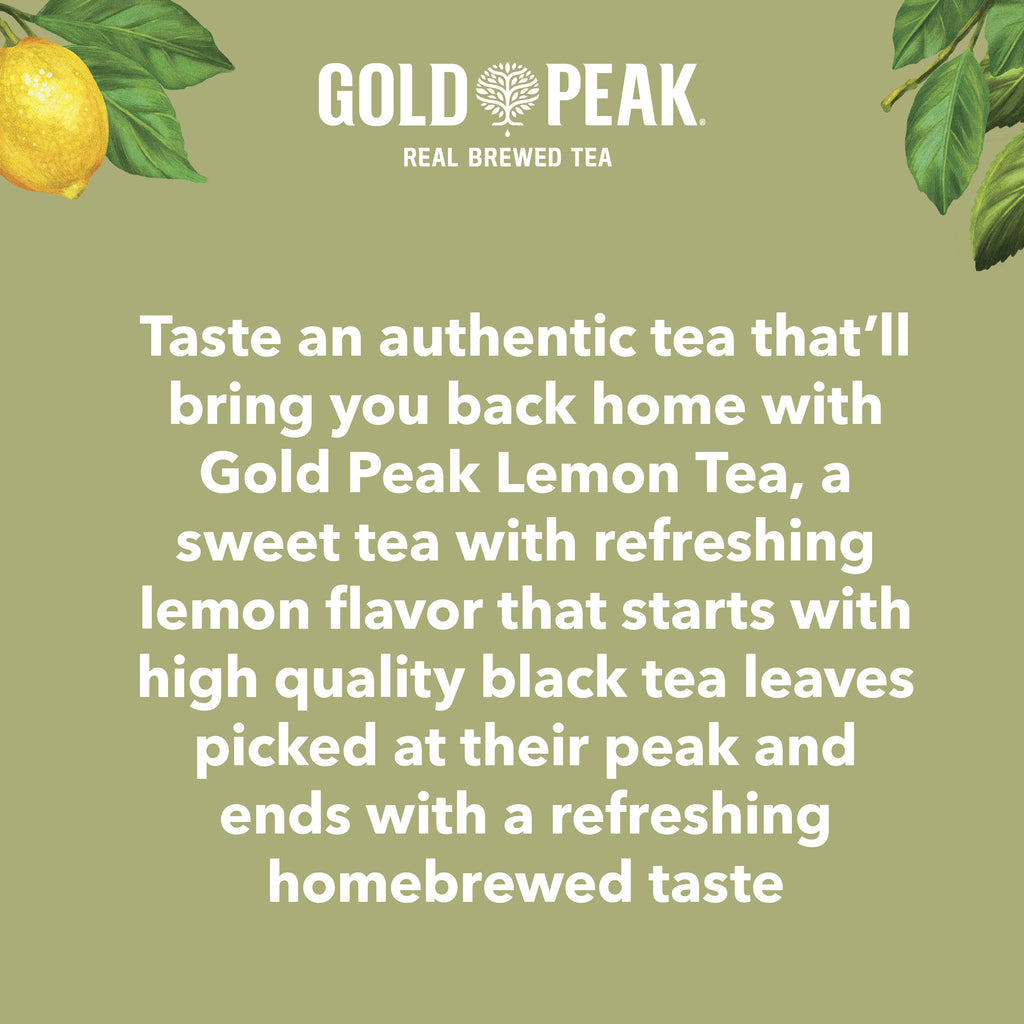 18.5 fl oz Sweetened Iced Tea Drink W493186