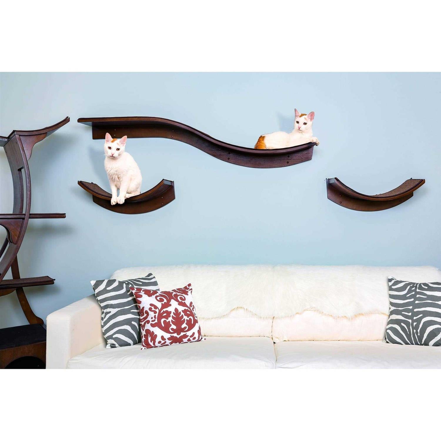 Cat Shelf V249