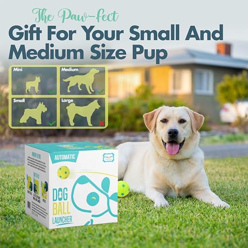 Automatic Dog Ball Launcher with 6 Latex Balls Q65327