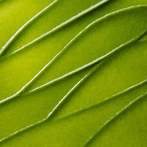 Salicylic Acid and Lactic Acid Facial Scrub U197
