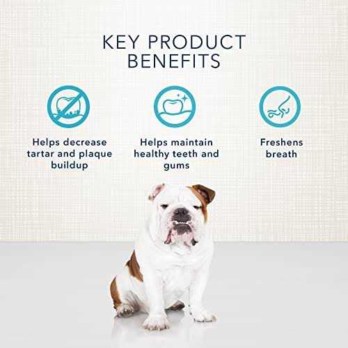Dental Bones Dog Treats L132