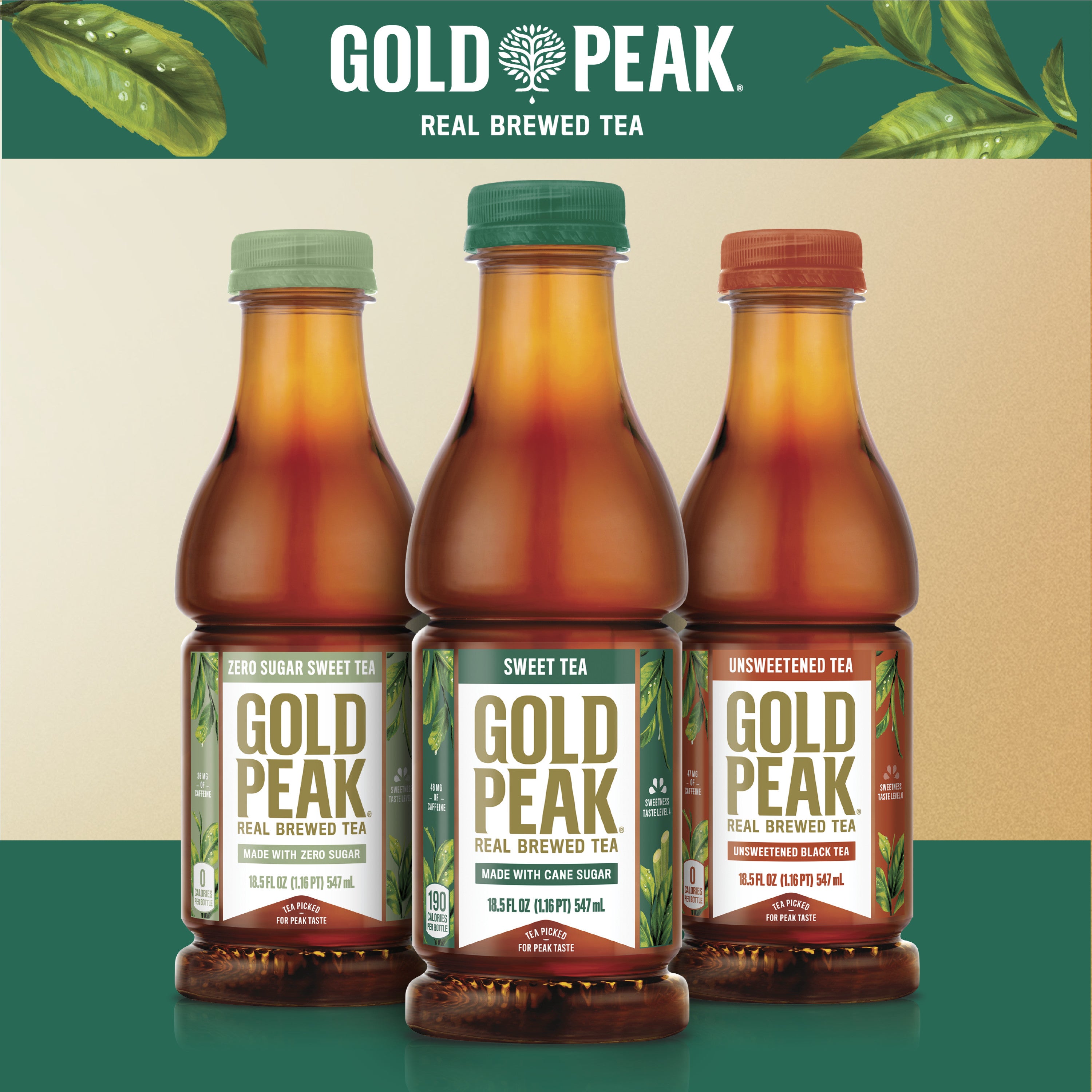 18.5 fl oz Sweetened Iced Tea Drink W493186