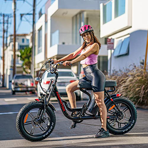 20'' Fat Tire Electric Bike with 750W Motor and 48V/20Ah Battery P363