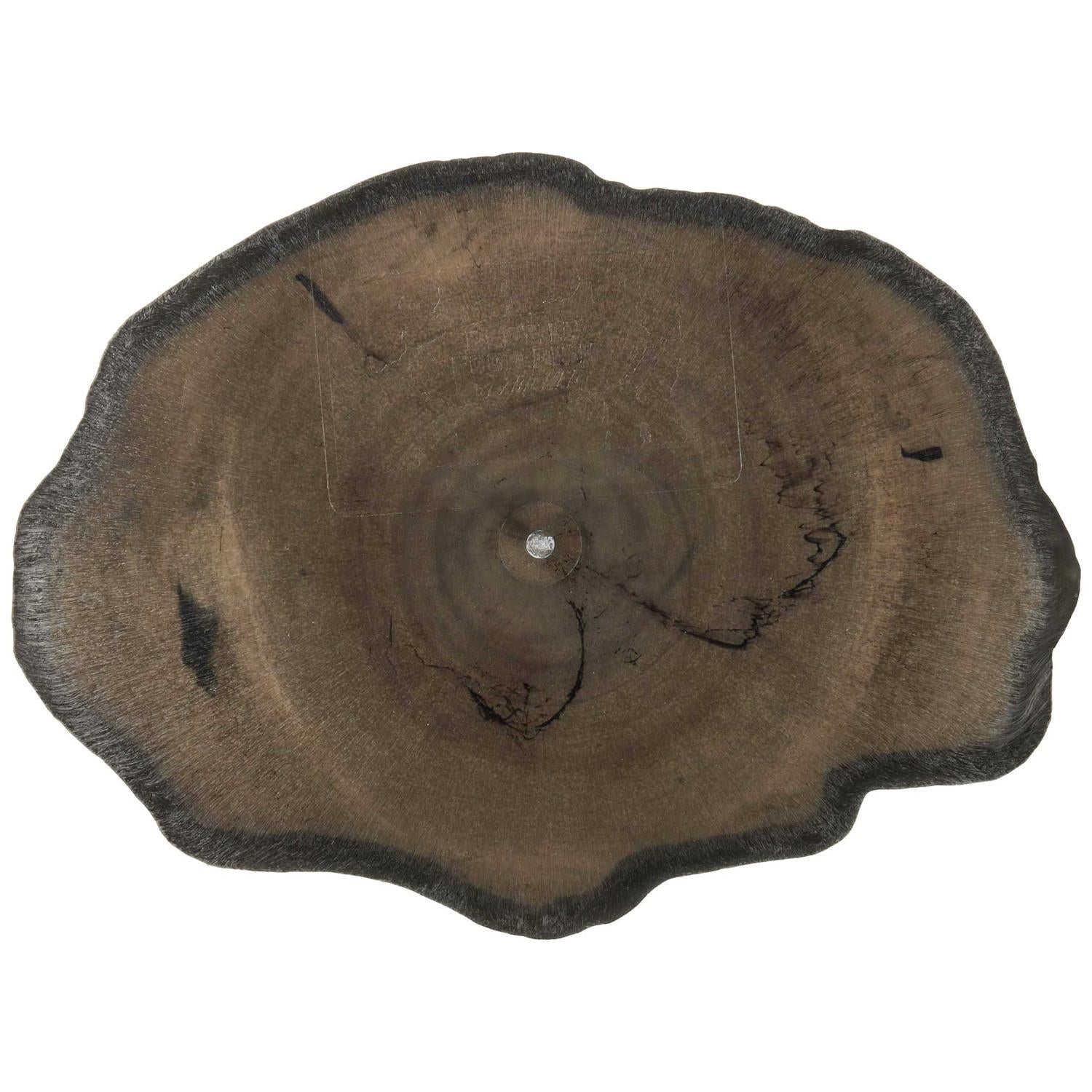 Repti Rock Food Dish W196982