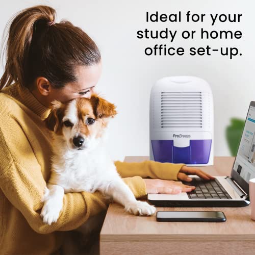 Compact Electric Mini Dehumidifier, 2200 Cubic Feet I541693