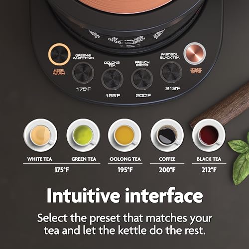 Electric Kettle with Tea Infuser, Temperature Control, 1.5 Liters, Midnight Blue P5216