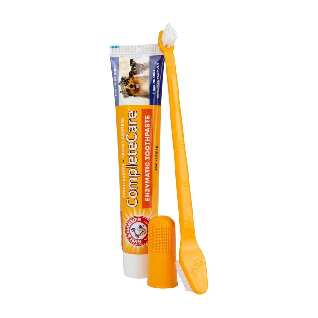 Dog Dental Kit Y923438