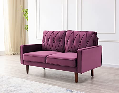 Tufted Velvet Couch, 57.5'' Wide Loveseat T415759