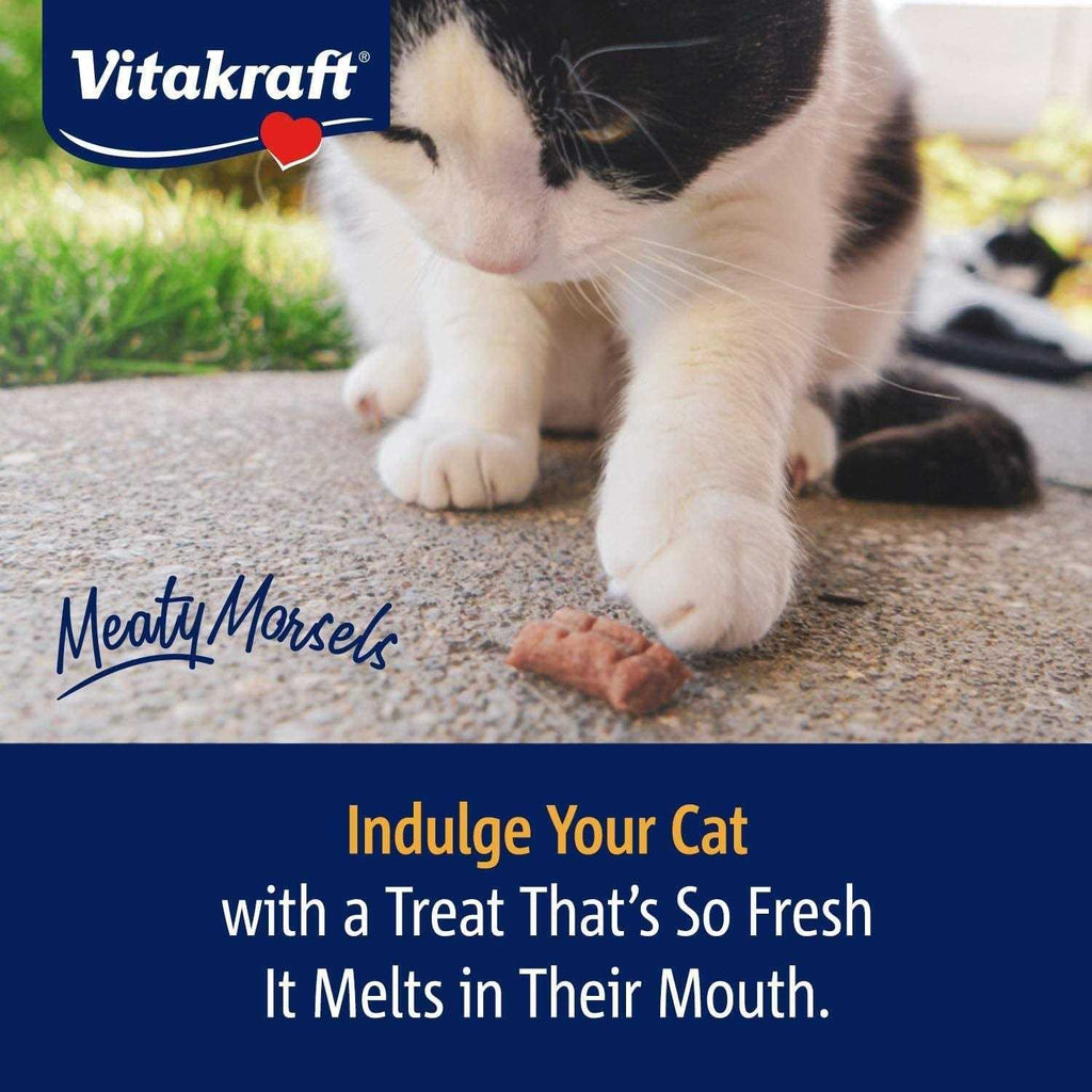 Cat Treat Chicken/Salmon U29337