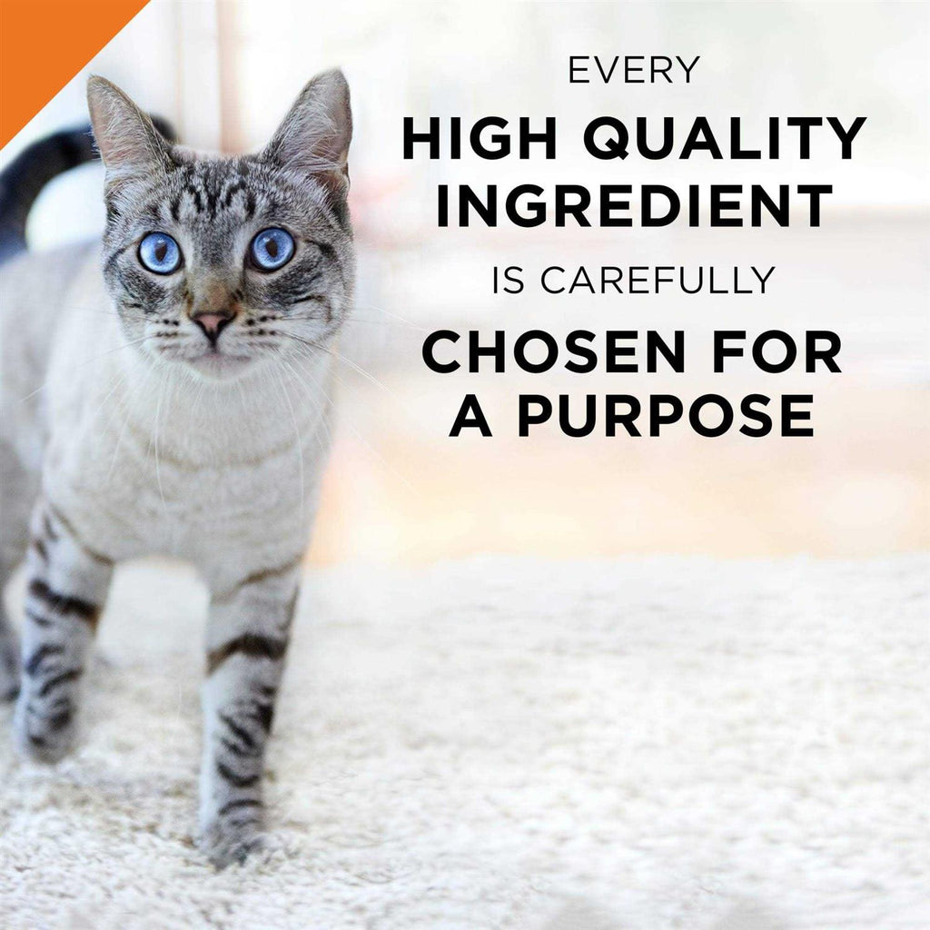 Seafood Entree Wet Cat Food W3619