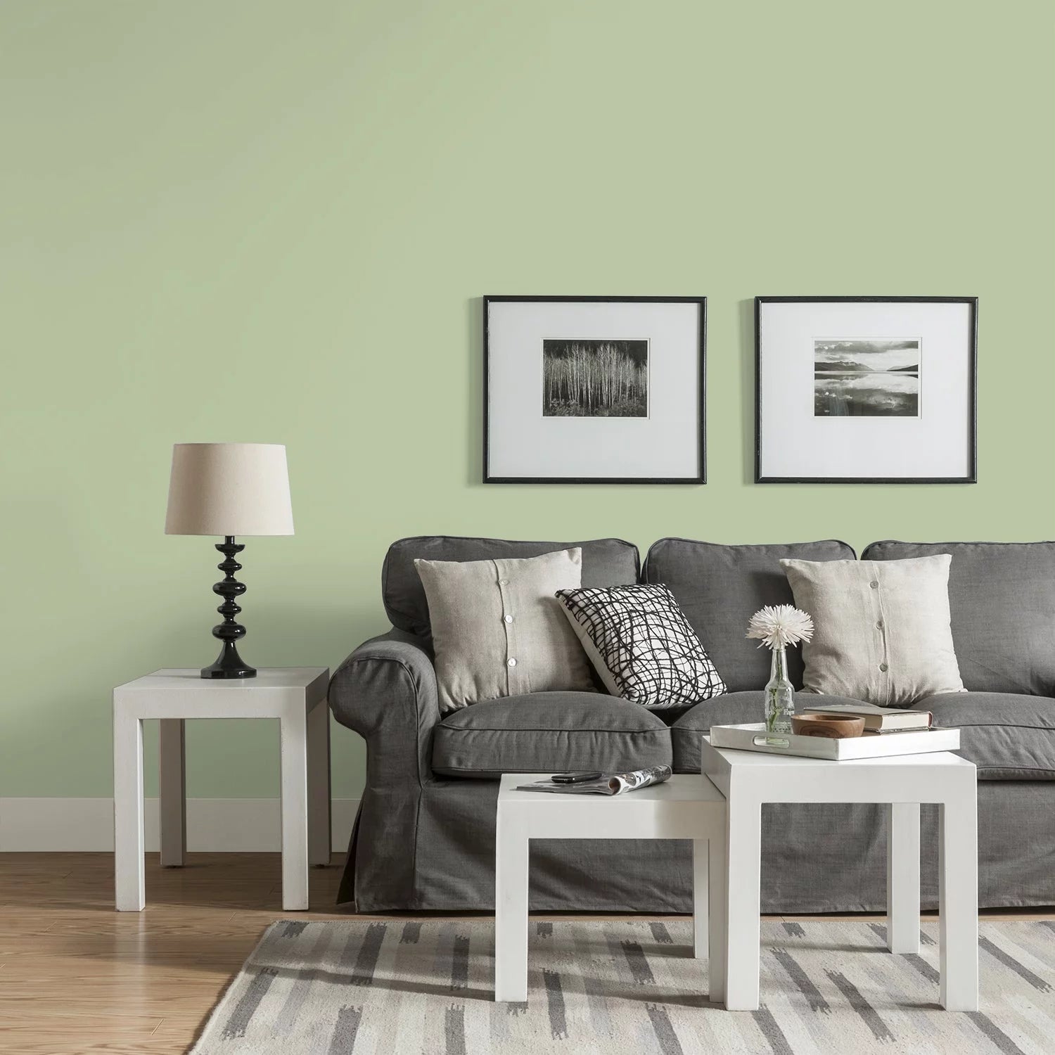 Interior Paint + Primer, Eggshell, 1 Quart P3709