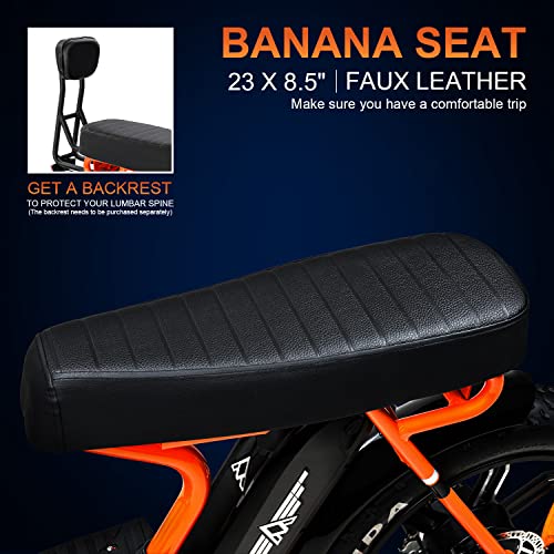 20'' Fat Tire Electric Bike with 750W Motor and 48V/20Ah Battery P363