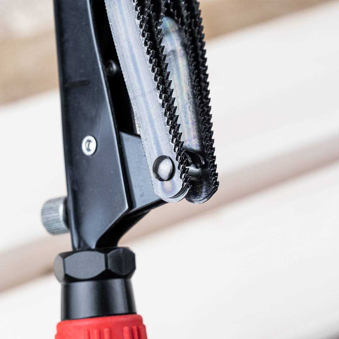 Saw Rasp Z399375