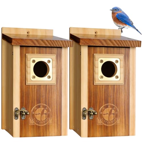 2 Pack Cedar Bird House with Copper Guard H7460