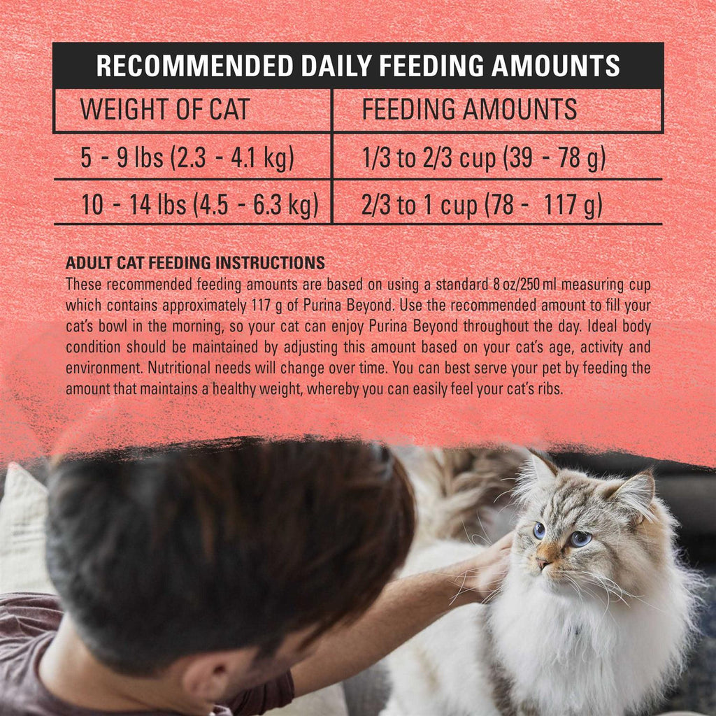 Cat Dry Food D8001