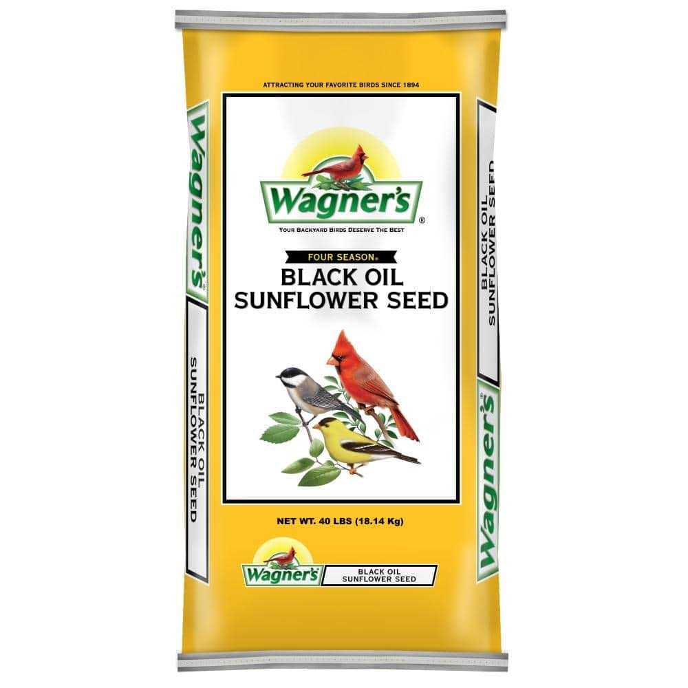 Black Oil Sunflower Seed S8103