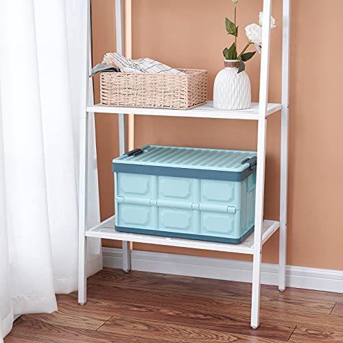 Collapsible Storage Bins with Lids 30L, Folding Plastic Stackable Utility Crates 2-Pack, Oyster White M6276